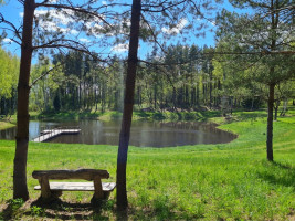 Parduodamas namų valdos paskirties sklypas Luokesos, Alksniškių k., Molėtų r. sav., 69.29 a ploto 15