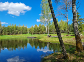 Parduodamas namų valdos paskirties sklypas Luokesos, Alksniškių k., Molėtų r. sav., 69.29 a ploto 17