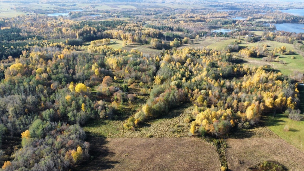 Parduodamas sklypas Ruklių k., Utenos r. sav., 157 a ploto 2