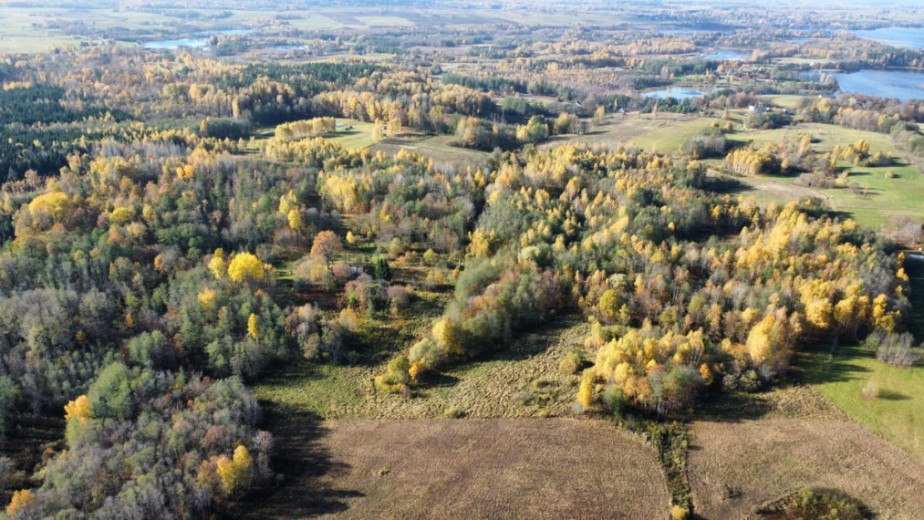 Parduodamas  sklypas Ruklių k., Utenos r. sav., 157 a ploto 2