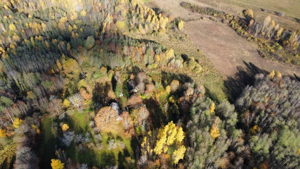 Parduodamas  sklypas Ruklių k., Utenos r. sav., 157 a ploto 3