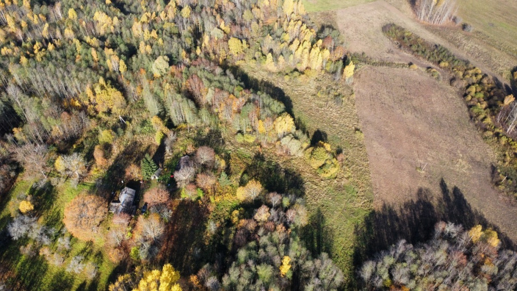 Parduodamas  sklypas Ruklių k., Utenos r. sav., 157 a ploto 4