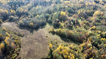 Parduodamas  sklypas Ruklių k., Utenos r. sav., 157 a ploto 5