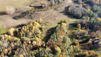 Parduodamas  sklypas Ruklių k., Utenos r. sav., 157 a ploto 6