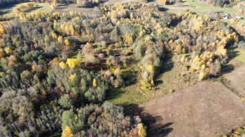 Parduodamas  sklypas Ruklių k., Utenos r. sav., 157 a ploto 7