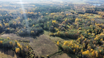 Parduodamas  sklypas Ruklių k., Utenos r. sav., 157 a ploto 8