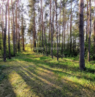 Parduodamas namas Smilčių g., Jaskonių k., Druskininkų sav., 73.1 m2 ploto, 1 aukštai 19