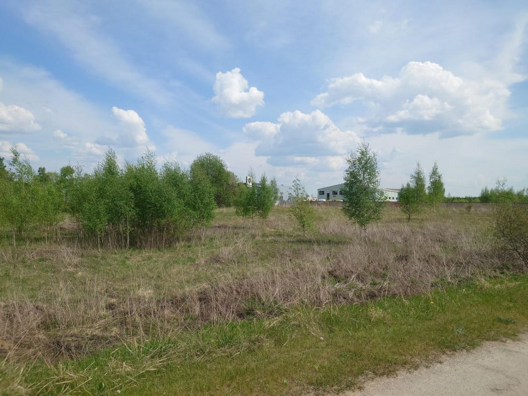 Parduodamas sklypas Dubijos g., Zokniai, Šiaulių m., Šiaulių m. sav., 104.95 a ploto 12