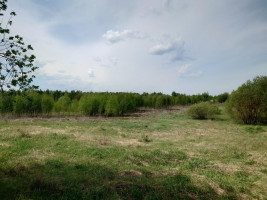 Parduodamas sklypas Dubijos g., Zokniai, Šiaulių m., Šiaulių m. sav., 104.95 a ploto 21