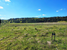 Parduodamas kitos paskirties sklypas Gailiūnų g., Gailiūnų k., Druskininkų sav., 15.58 a ploto 9