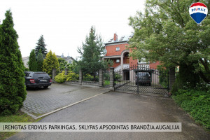 Panevėžio g., Medelynas, Šiaulių m., Šiaulių m. sav. 1