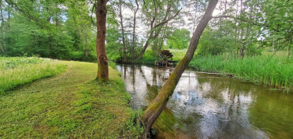 13ha sklypas šalia Labanoro, ant Kiaunos upės vingių 1