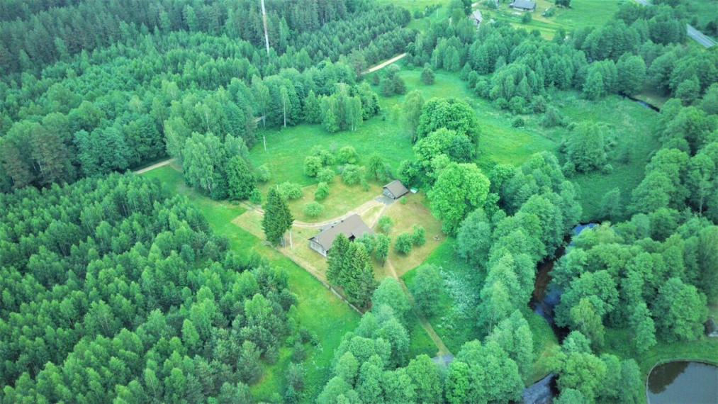 13ha sklypas šalia Labanoro, ant Kiaunos upės vingių 3