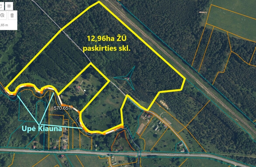 13ha sklypas šalia Labanoro, ant Kiaunos upės vingių 4
