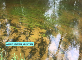 13ha sklypas šalia Labanoro, ant Kiaunos upės vingių 6