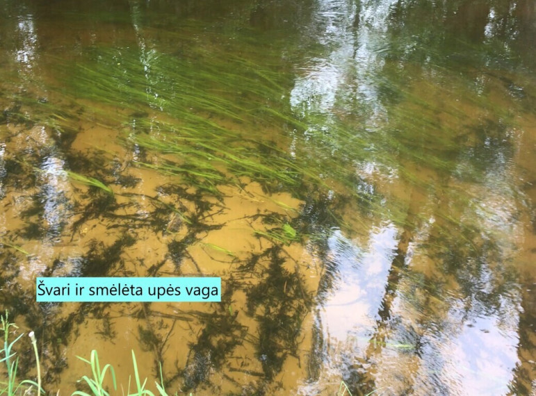 13ha sklypas šalia Labanoro, ant Kiaunos upės vingių 6