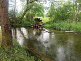 13ha sklypas šalia Labanoro, ant Kiaunos upės vingių 7
