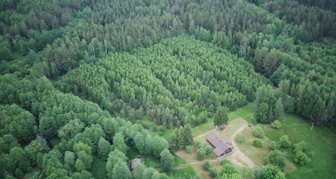 13ha sklypas šalia Labanoro, ant Kiaunos upės vingių 9