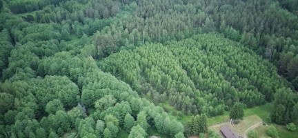 13ha sklypas šalia Labanoro, ant Kiaunos upės vingių 10