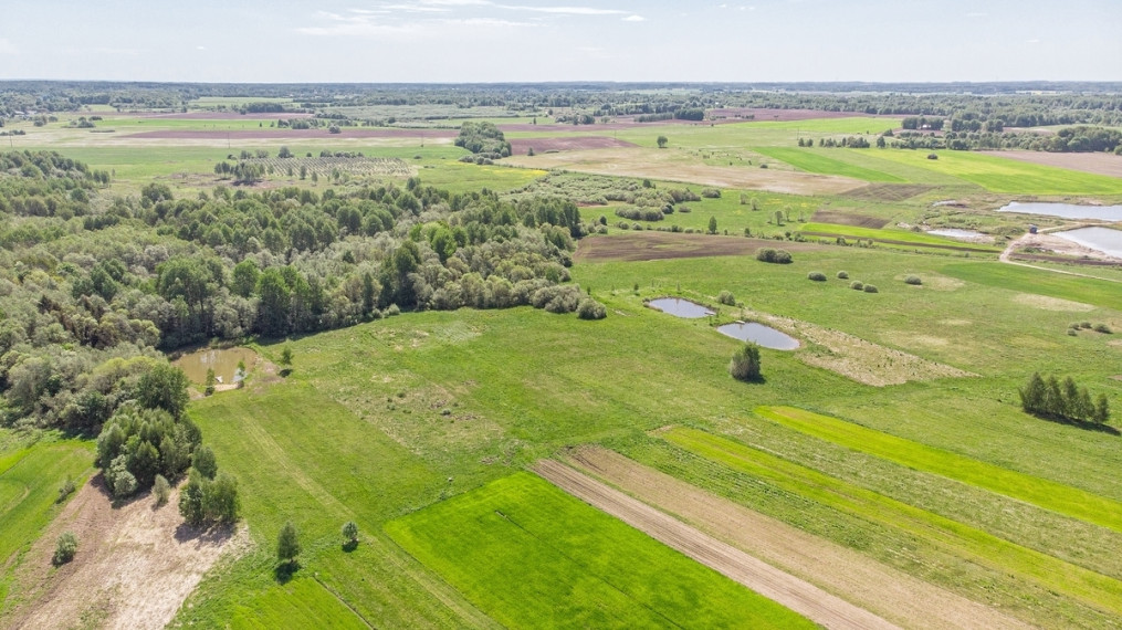 Parduodamas  sklypas Medžiukų k., Širvintų r. sav., 45 a ploto 2