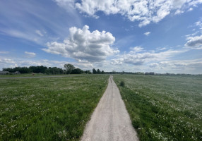 Parduodamas kitos paskirties sklypas Kauno g.134, Miklusėnų k., Alytaus r. sav., 68.01 a ploto 3