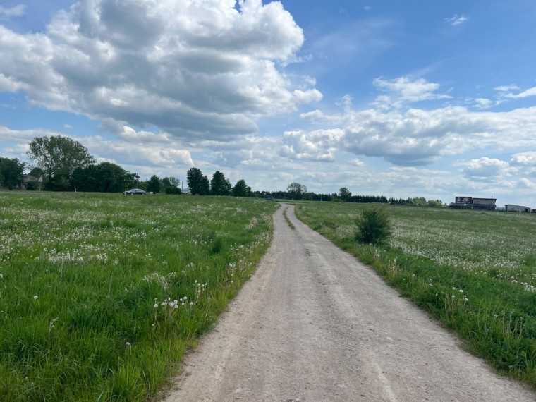 Parduodamas kitos paskirties sklypas Kauno g.134, Miklusėnų k., Alytaus r. sav., 68.01 a ploto 4