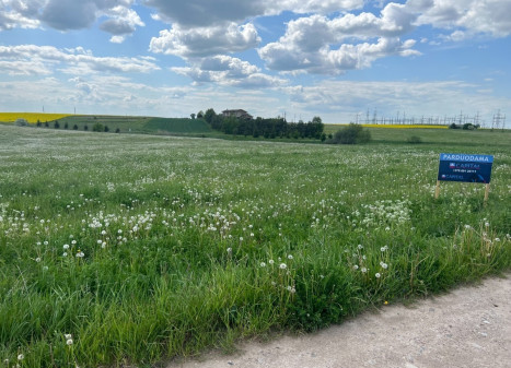 Parduodamas kitos paskirties sklypas Kauno g.134, Miklusėnų k., Alytaus r. sav., 68.01 a ploto