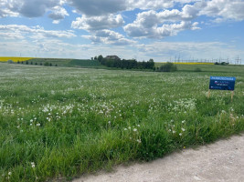 Parduodamas kitos paskirties sklypas Kauno g.134, Miklusėnų k., Alytaus r. sav., 68.01 a ploto 1