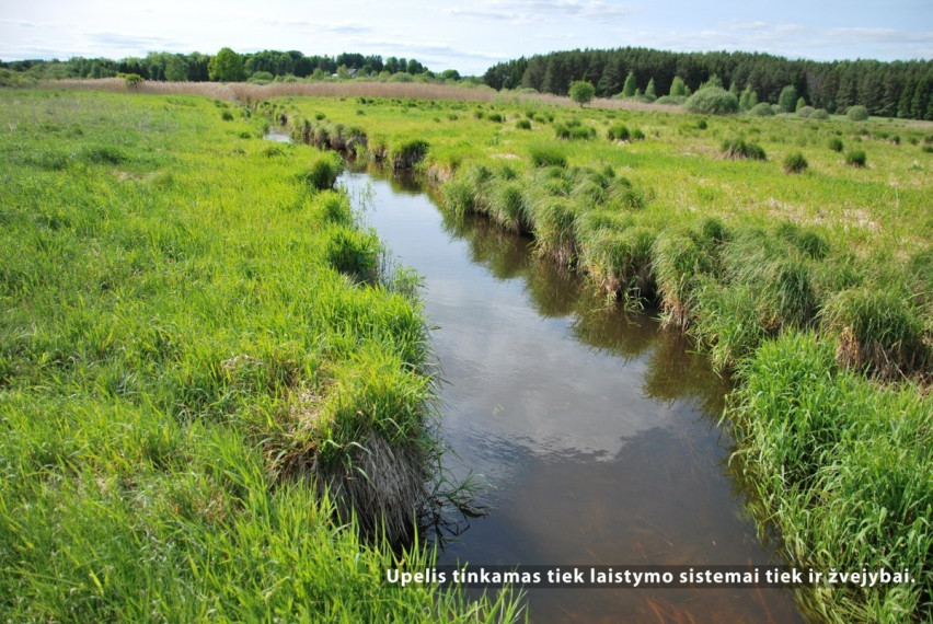 Parduodamas  sklypas Pasagų g., Riešės k., Vilniaus r. sav., 35.01 a ploto 14