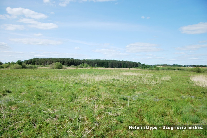 Parduodamas  sklypas Pasagų g., Riešės k., Vilniaus r. sav., 35.01 a ploto 15