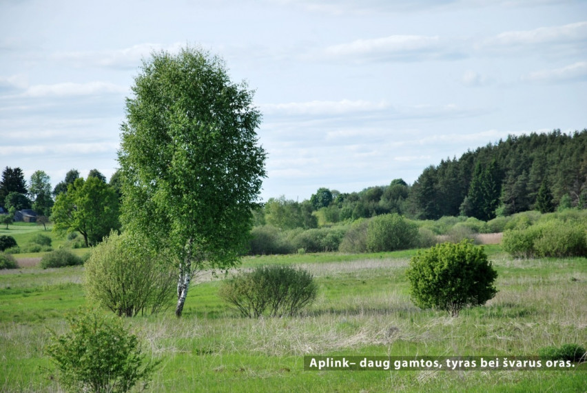 Parduodamas  sklypas Pasagų g., Riešės k., Vilniaus r. sav., 35.01 a ploto 17