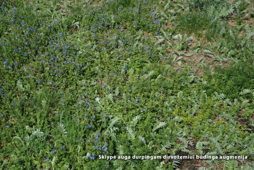 Parduodamas  sklypas Pasagų g., Riešės k., Vilniaus r. sav., 35.01 a ploto 18