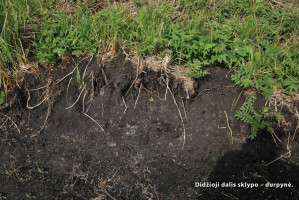 Parduodamas  sklypas Pasagų g., Riešės k., Vilniaus r. sav., 35.01 a ploto 19