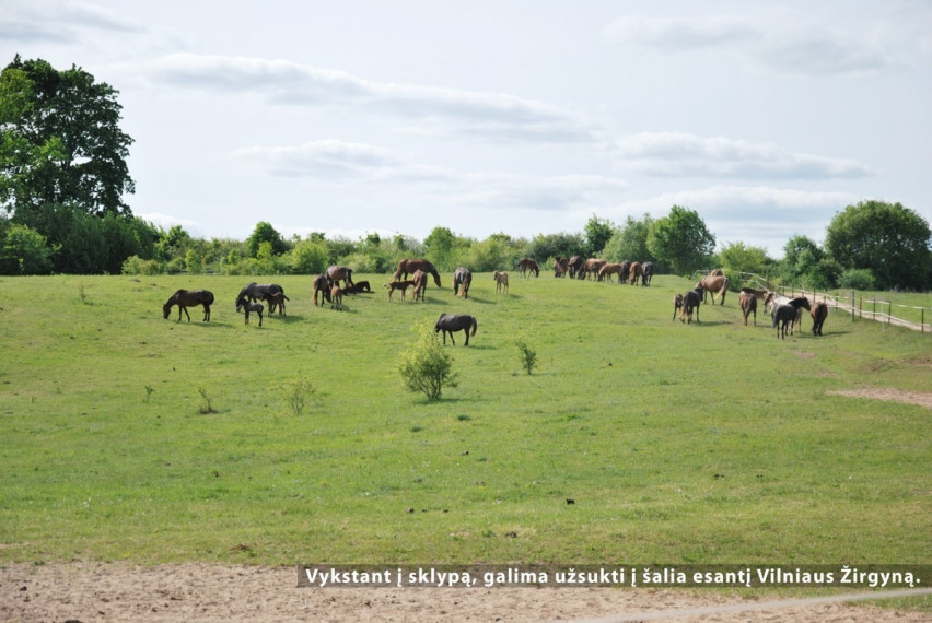 Parduodamas  sklypas Pasagų g., Riešės k., Vilniaus r. sav., 35.01 a ploto 20