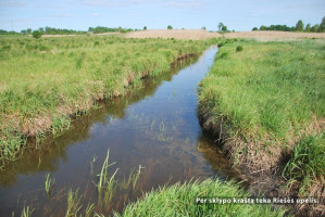 Parduodamas  sklypas Pasagų g., Riešės k., Vilniaus r. sav., 68.69 a ploto 13