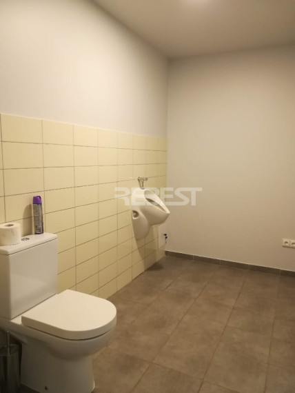 Nuomojamos administracinės patalpos Pramonės g., Pabaliai, Šiaulių m., Šiaulių m. sav., 41 m2 ploto 6