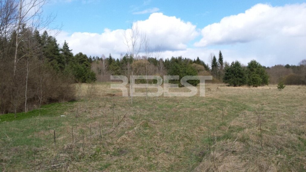 Parduodamas kitos paskirties sklypas Dengtilčio k., Šiaulių r. sav., 258 a ploto 2