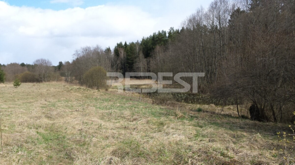Parduodamas kitos paskirties sklypas Dengtilčio k., Šiaulių r. sav., 258 a ploto 4