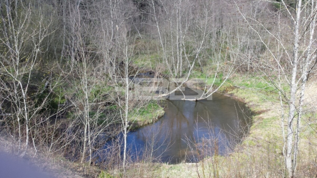 Parduodamas kitos paskirties sklypas Dengtilčio k., Šiaulių r. sav., 258 a ploto 5