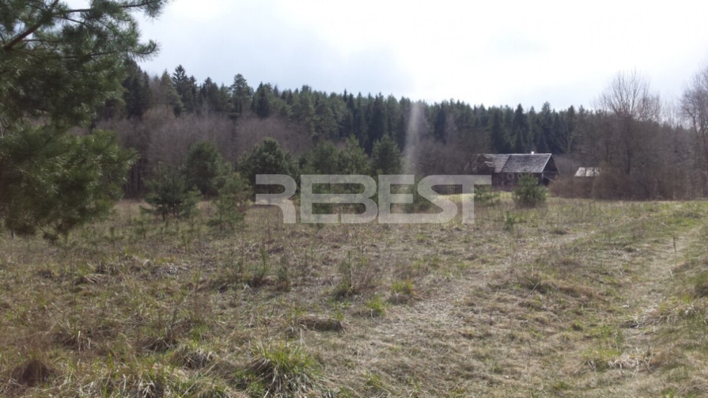 Parduodamas kitos paskirties sklypas Dengtilčio k., Šiaulių r. sav., 258 a ploto 10
