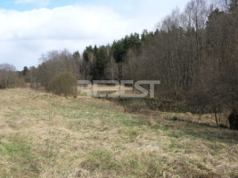 Parduodamas kitos paskirties sklypas Dengtilčio k., Šiaulių r. sav., 258 a ploto 4