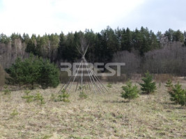Parduodamas kitos paskirties sklypas Dengtilčio k., Šiaulių r. sav., 258 a ploto 8