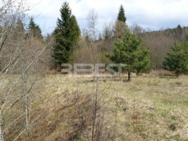 Parduodamas kitos paskirties sklypas Dengtilčio k., Šiaulių r. sav., 258 a ploto 9