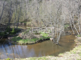 Parduodamas kitos paskirties sklypas Dengtilčio k., Šiaulių r. sav., 258 a ploto 11