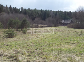 Parduodamas kitos paskirties sklypas Dengtilčio k., Šiaulių r. sav., 258 a ploto 12