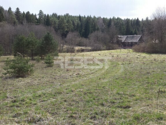 Parduodamas kitos paskirties sklypas Dengtilčio k., Šiaulių r. sav., 258 a ploto 1