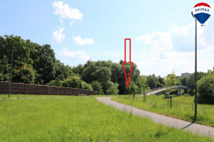 Plukių g., Klaipėdos, Panevėžio m., Panevėžio m. sav. 1