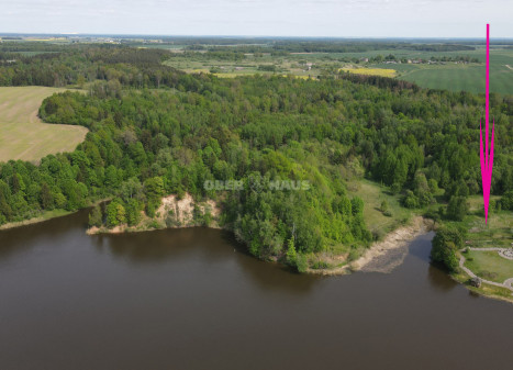 Parduodamas žemės ūkio paskirties sklypas Paliūnės k., Raseinių r. sav., 120 a ploto