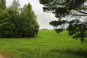 Parduodamas namų valdos paskirties sklypas Bokšto g., Šilagalio k., Panevėžio r. sav., 20 a ploto 1