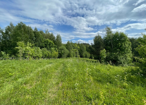 Parduodamas  sklypas Tintiniškių k., Vilniaus r. sav., 361 a ploto